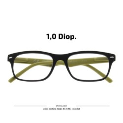 GAFAS LECTURA ZIPPO B3 GRE 1,0 DIOP. 1 UD