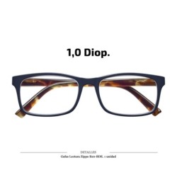 GAFAS LECTURA ZIPPO B20 BDE 1,0 DIOP 1 UD